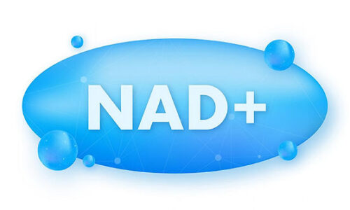 When to Take NAD: Best Time to Take NAD+